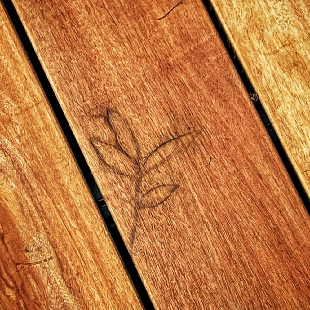 Leaf Stain Art, Detail: up close and personal with the delicate leaf stain art that will add character to our new grape deck. (Source: Eric Crowningshield)