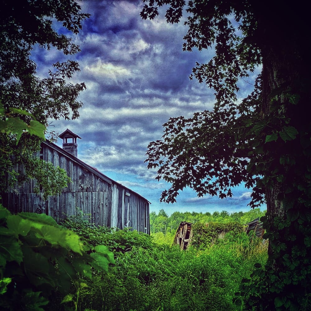 Barn Vernacular (Source: Geo Davis)