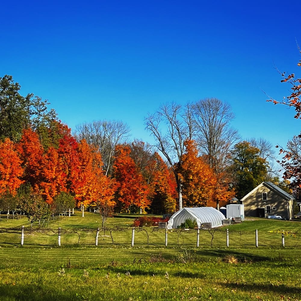 Autumn Vibes ⁣(Photo: R.P. Murphy)