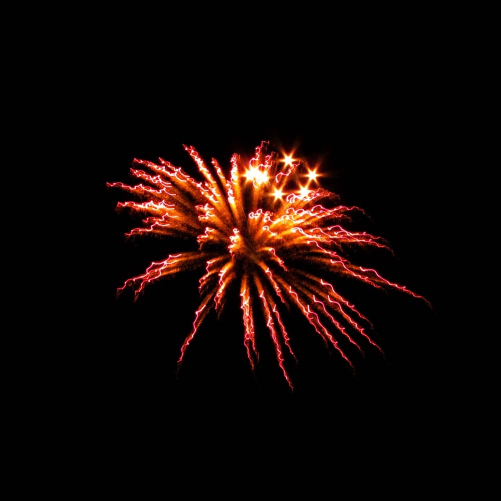 Independence Day​ 2011 (Photo: Geo Davis)