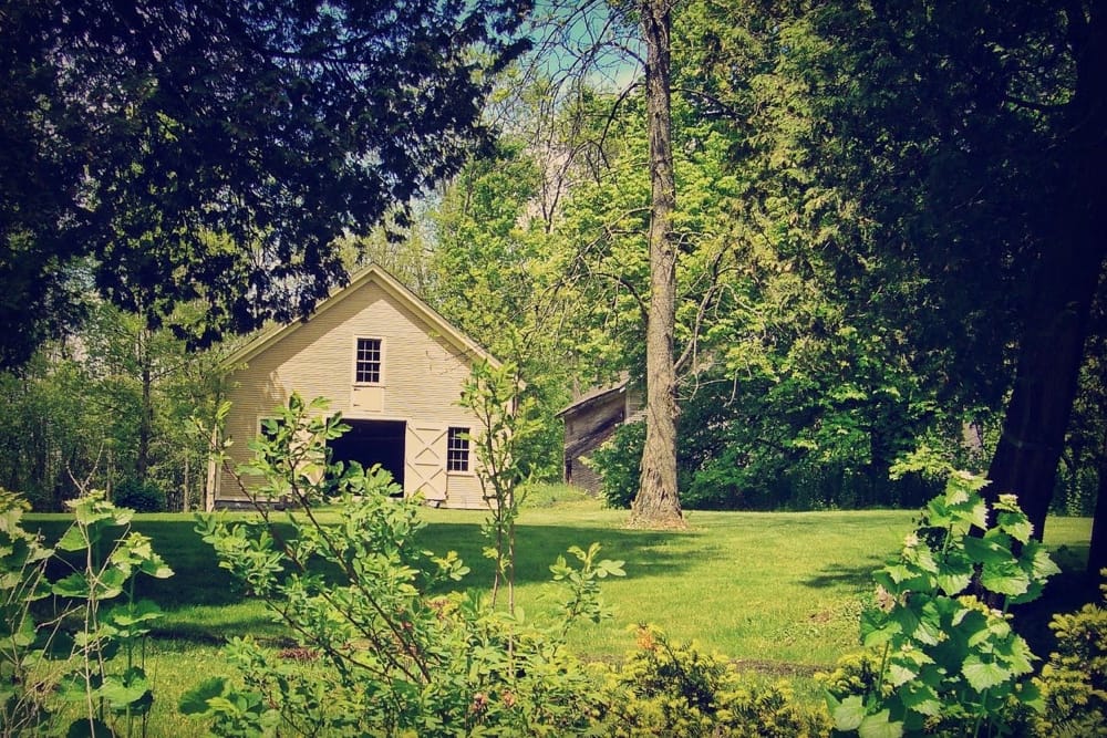 Preservation by Neglect: Carriage barn and icehouse, 2006 (Source: Geo Davis)