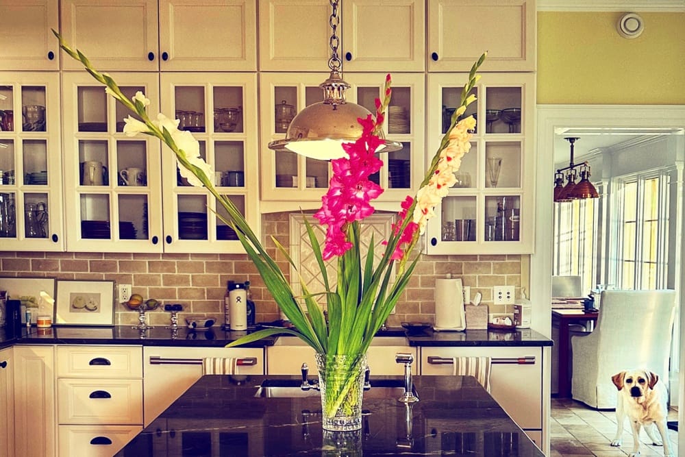 Gladioli from Champlain Peony Company (Photo: Geo Davis)