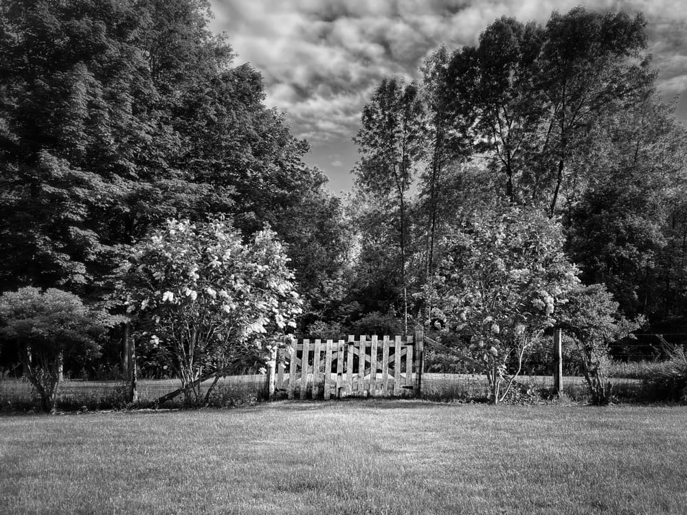 Bloom Flanked Gate, B&W Photo (Photo: Geo Davis)