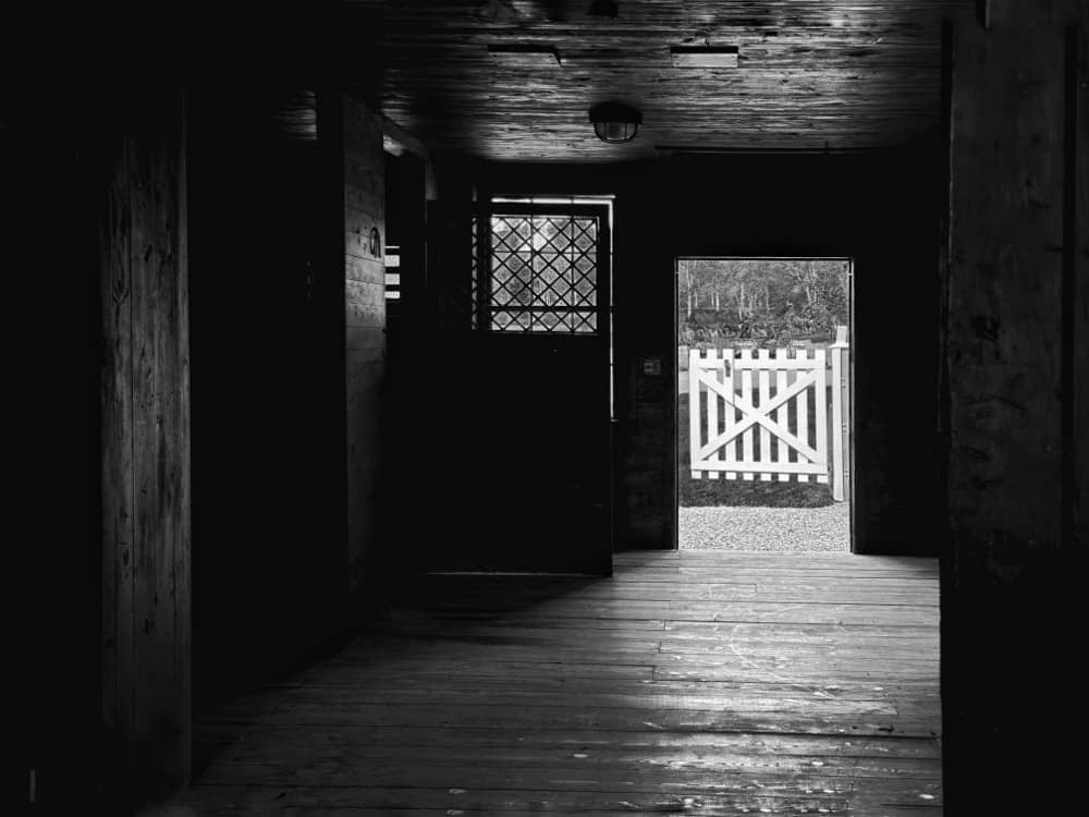 Filigree Fenestration: looking through the carriage barn (Photo: Geo Davis)