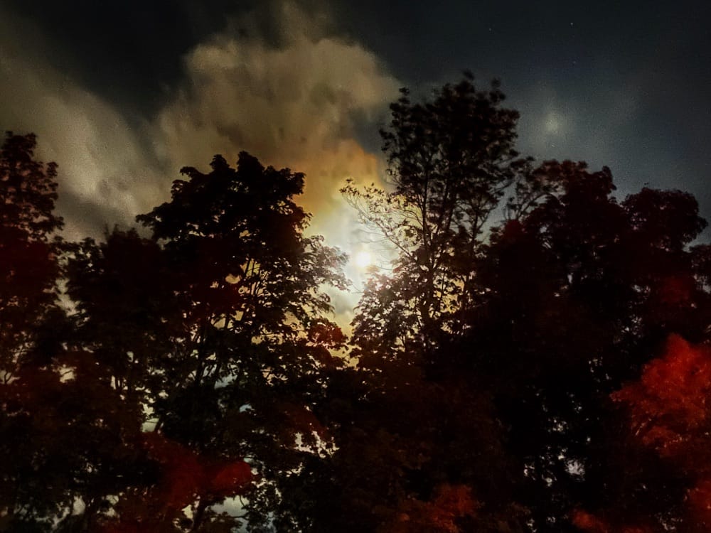 Mute Moon, September 28, 2020 (Photo: Geo Davis)