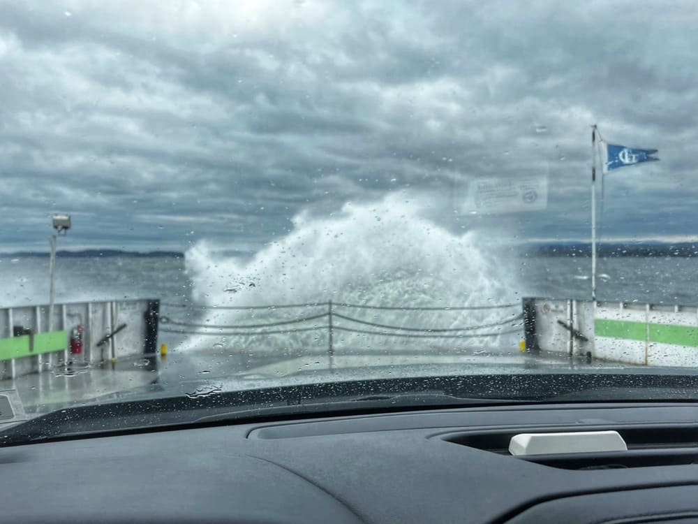Ferry Fear, November 12, 2024 (Photo: R.P. Murphy)
