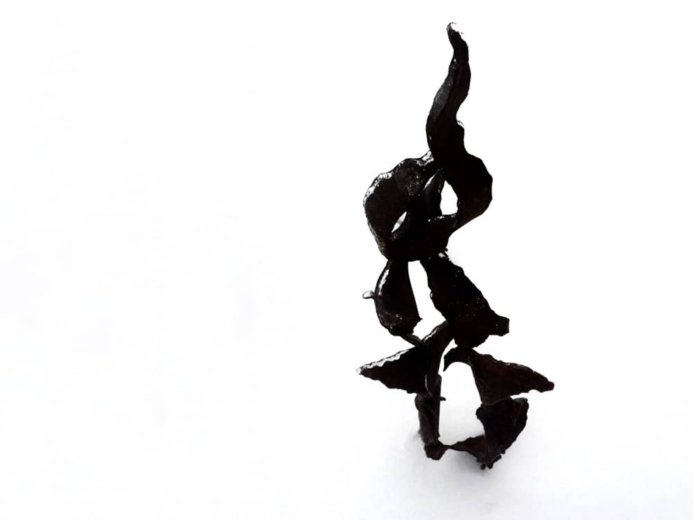 Ed Conlin Sculpture in Snow (Photo: Geo Davis)