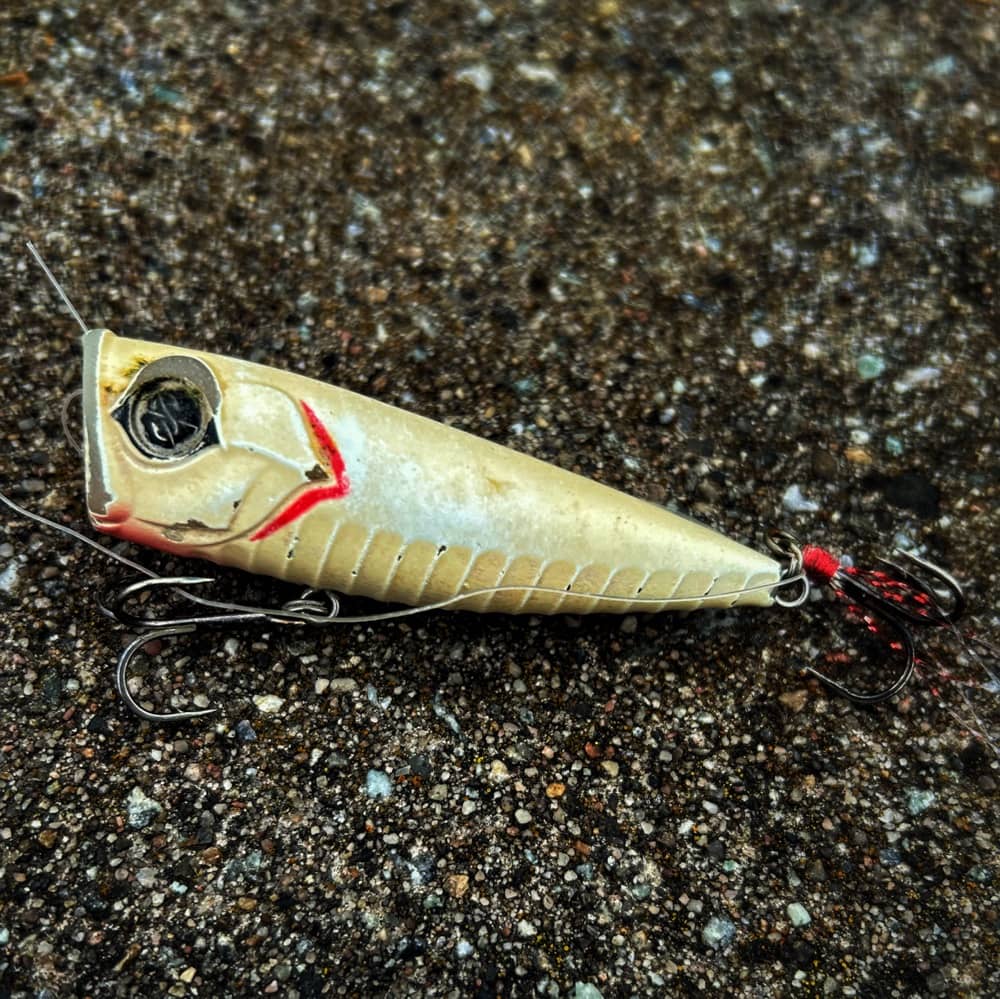 A Lure Allure (Photo: Glen Gehrkens)