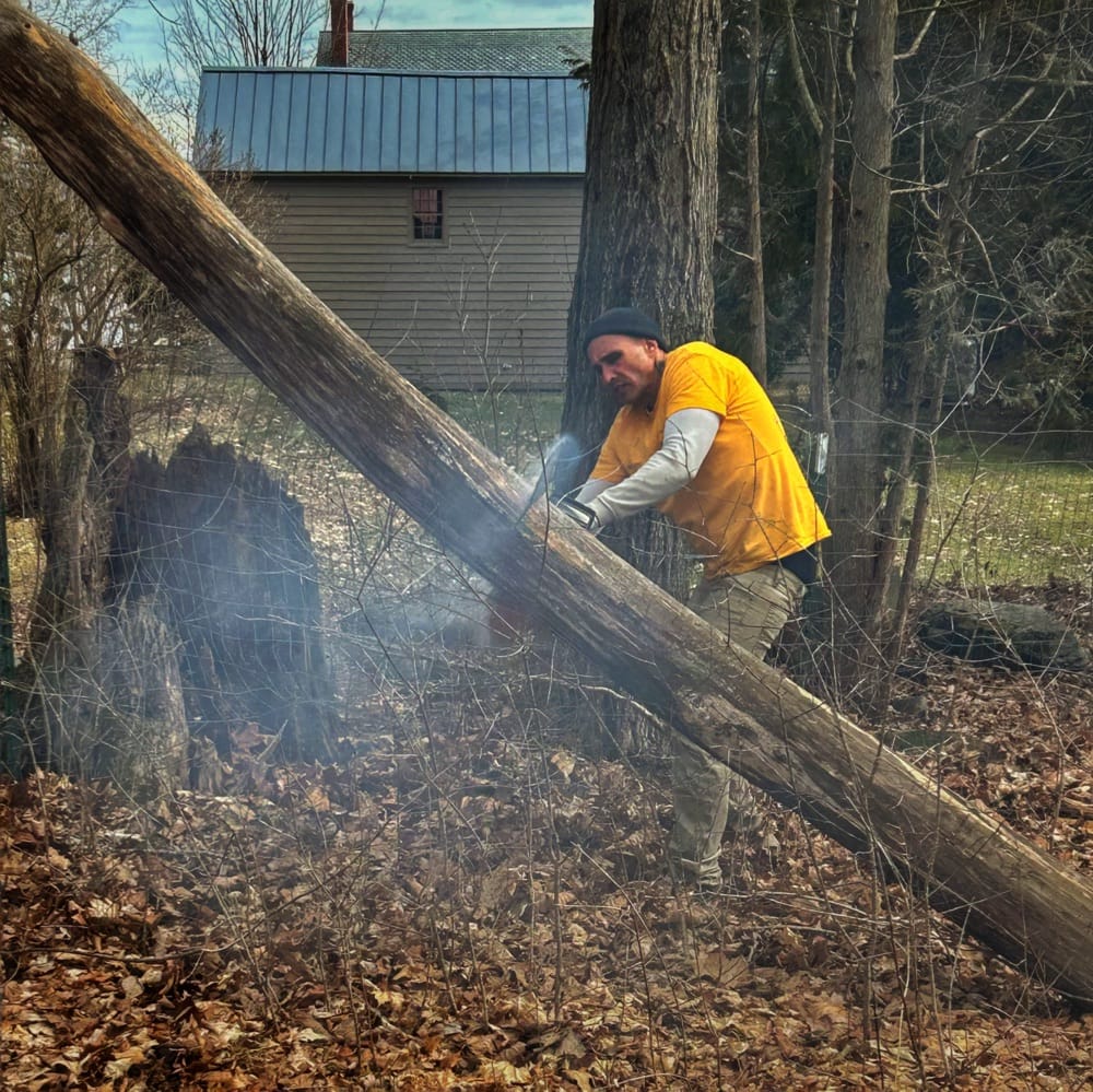 Hung Tree Unhung: Thank You, Tony (Photo: Geo Davis)