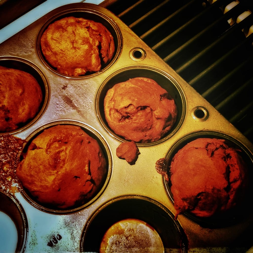 Pumpkin Carrot Muffins (Source: Rosslyn Redux)