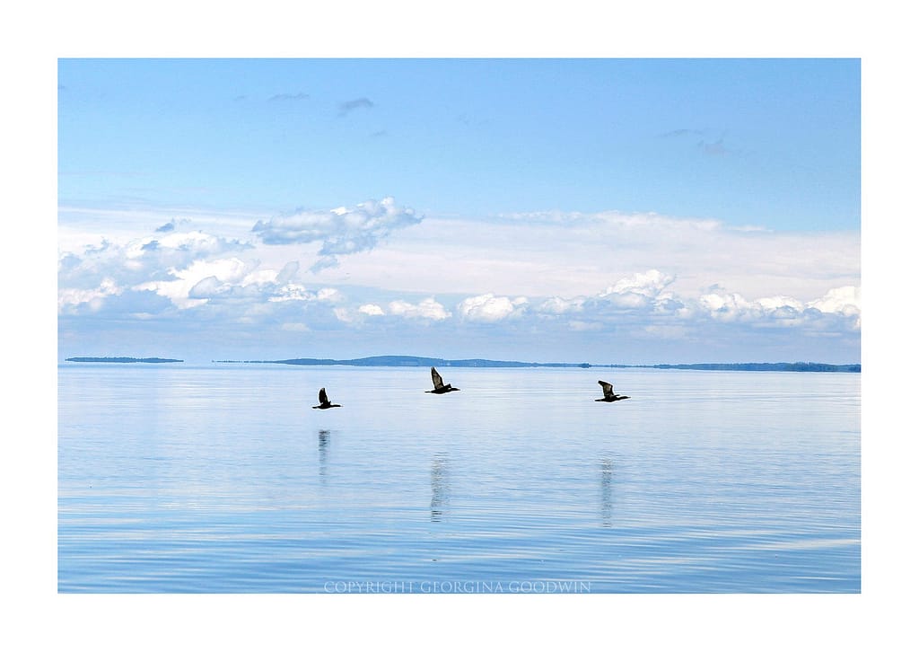 Some more Lake Champlain magic (Photo: Georgina Goodwin)