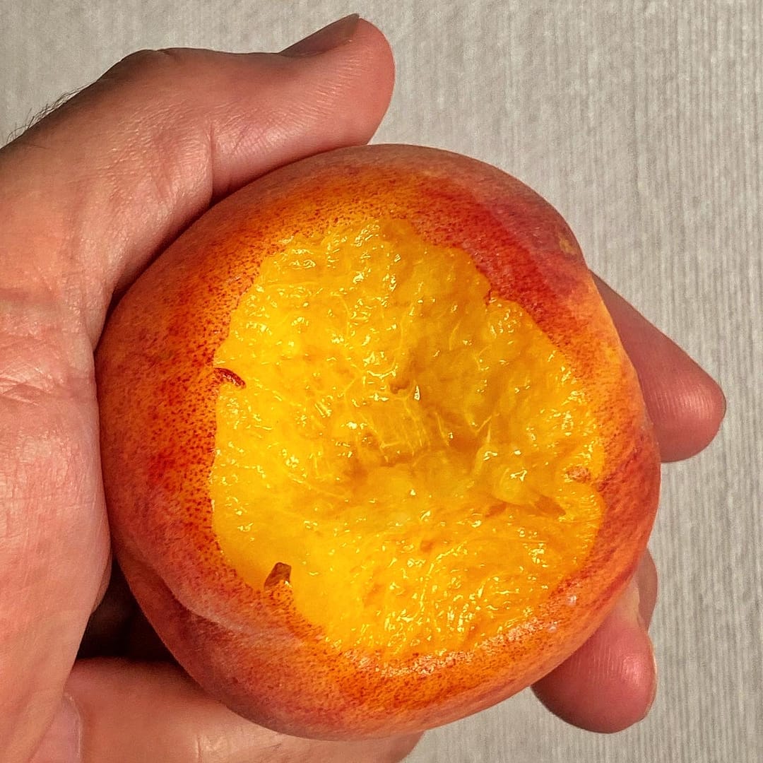 Peach, August 2022 (Source: Geo Davis)