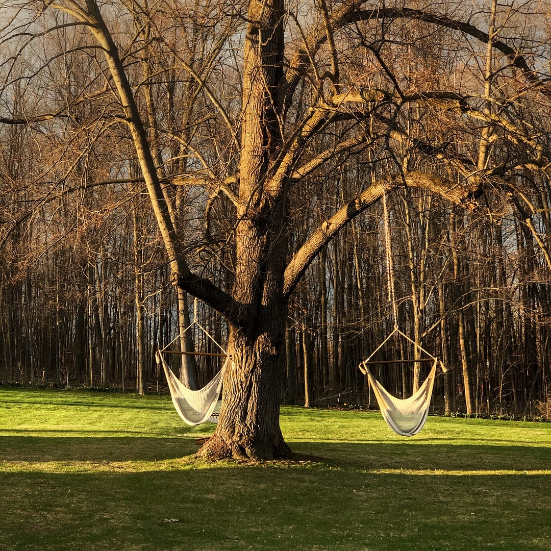 Hammock Pirouettes (Photo: Geo Davis)