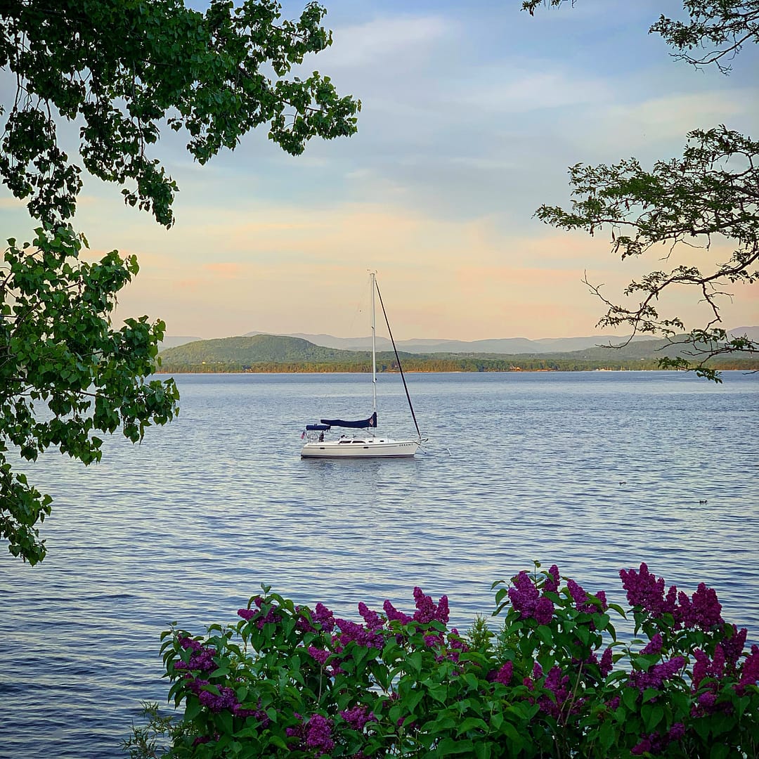 Art of Flux: Syringa and Sailboat (Photo: Geo Davis)