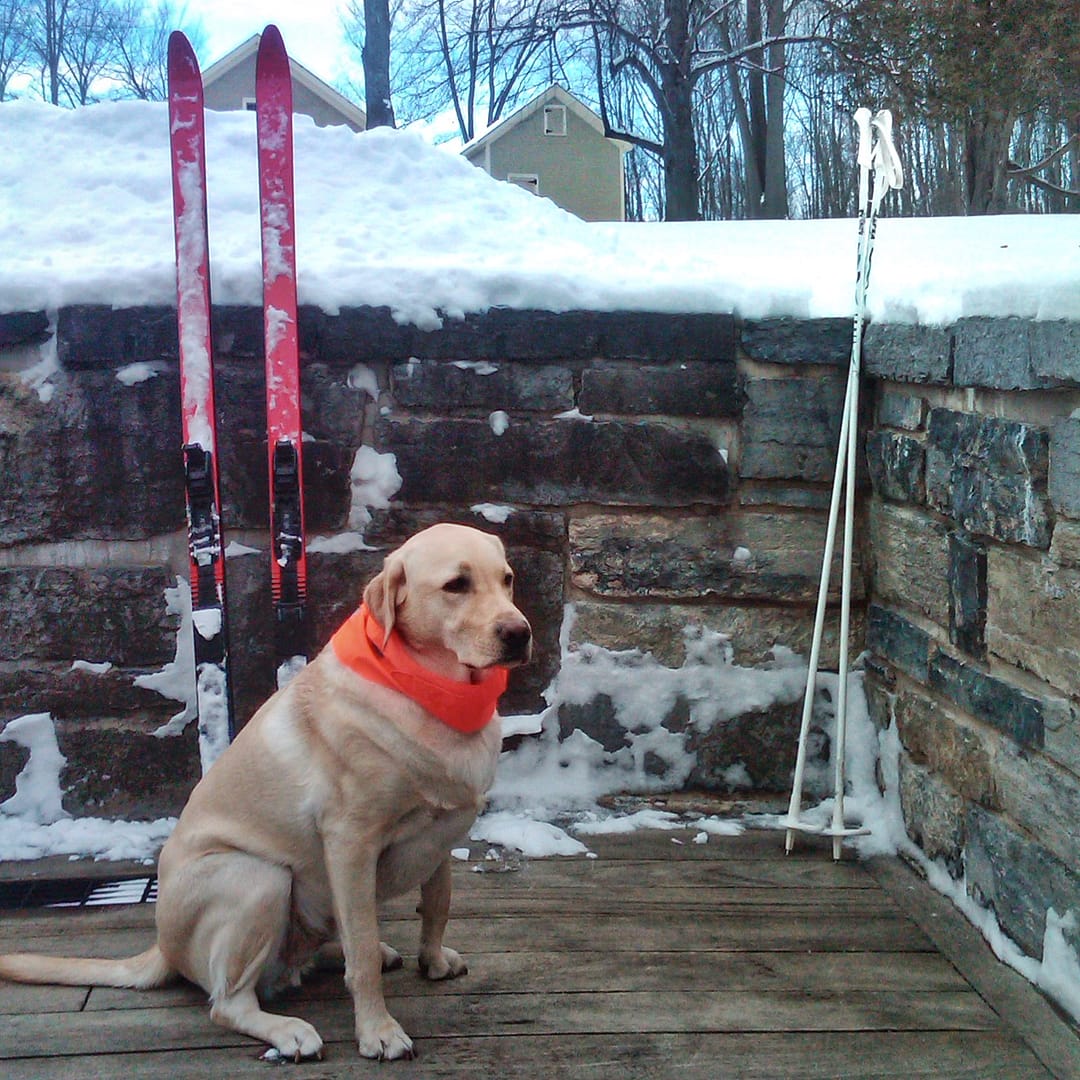 After Skiing Rosslyn’s Backland Byways with Griffin, January 9, 2011 (Photo: Geo Davis)