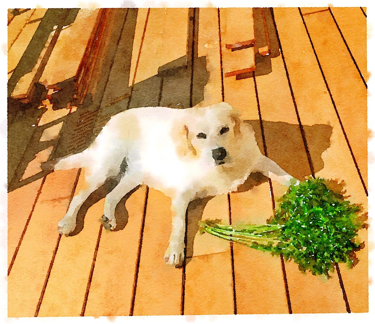 Carley with Carrot Top (Waterlogue Based on Photo by Hroth Ottosen)