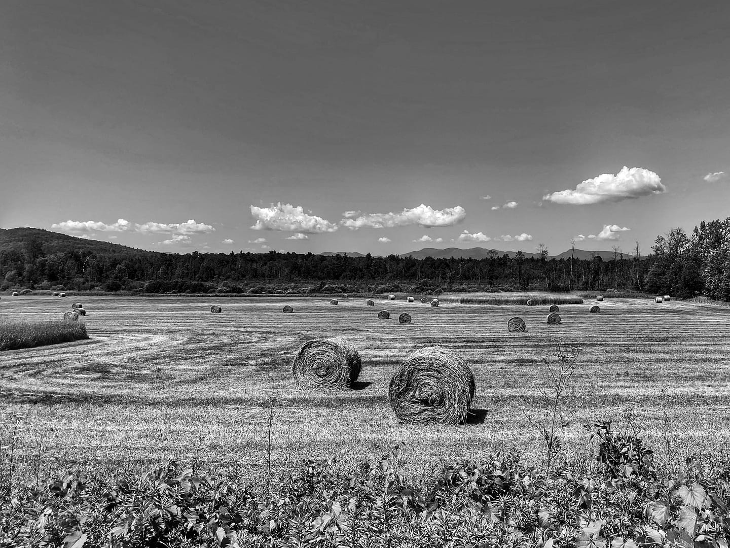 Hay Bales: Prelude to Change (Photo: Geo Davis)