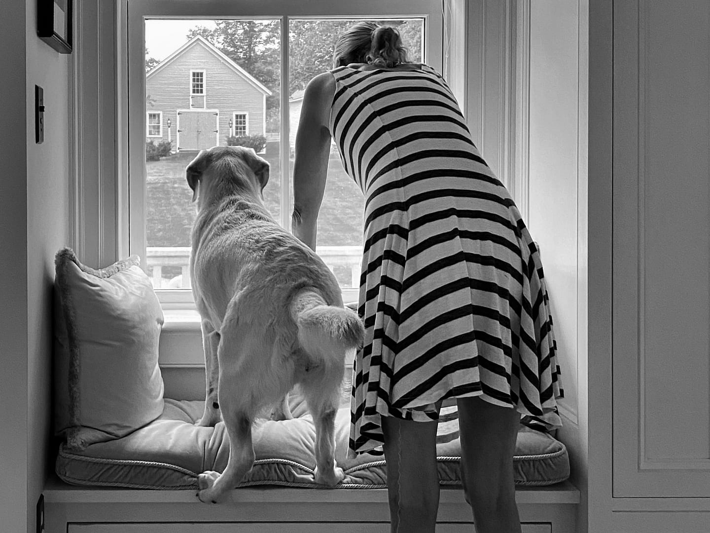 Arrival Anticipation​ (Photo: Geo Davis)