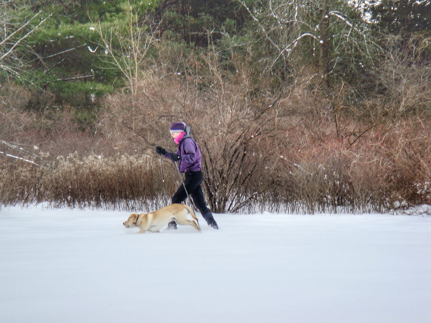 Susan Enjoying a X-Country Ski with Griffin on January 22, 2009 (Photo: Geo Davis)