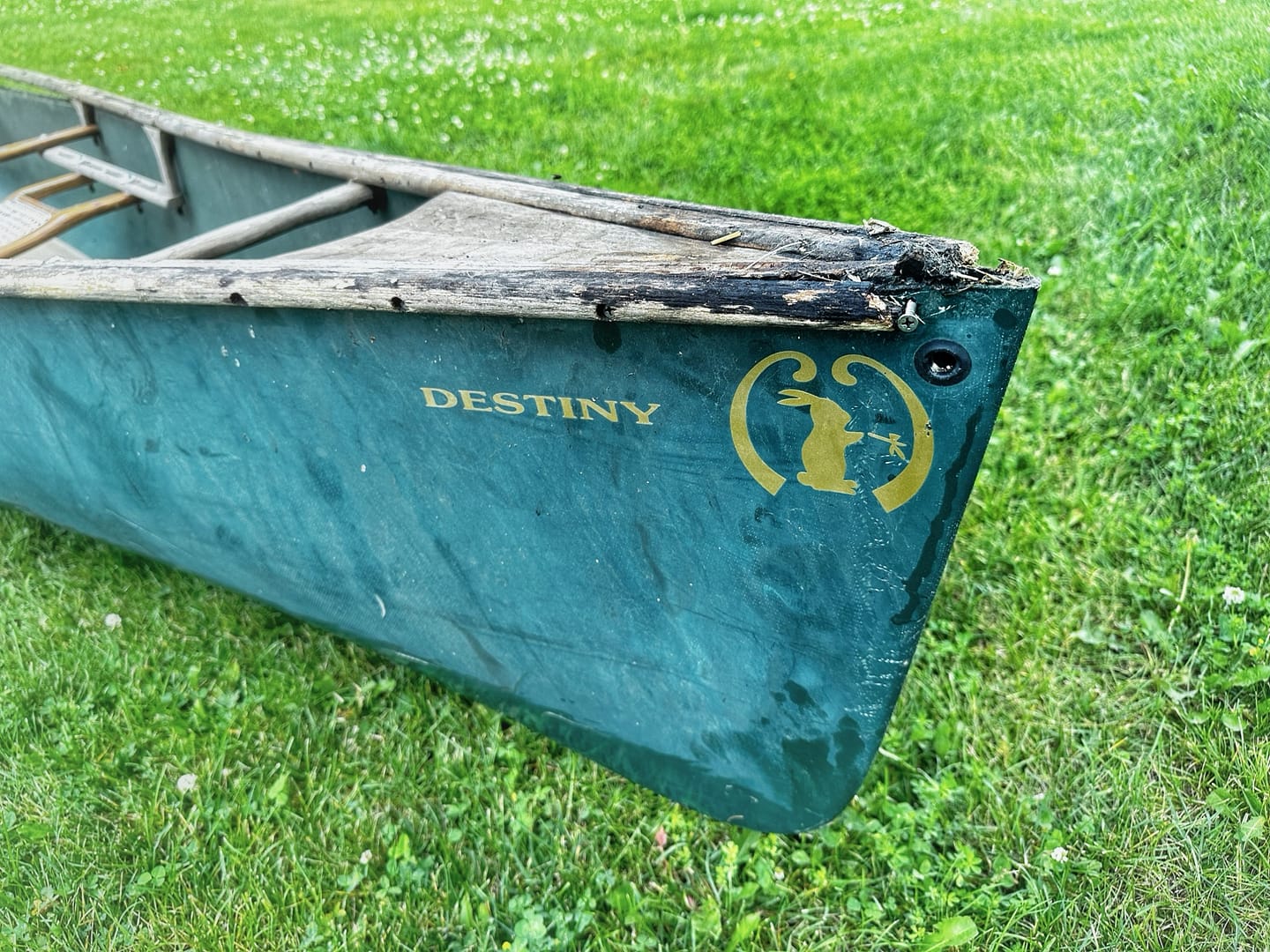 Canoe Rehab-Ready, June 27, 2023 (Photo: Geo Davis)