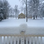 Winter started out with a deep, heavy, wet snowfall in early December 2014.