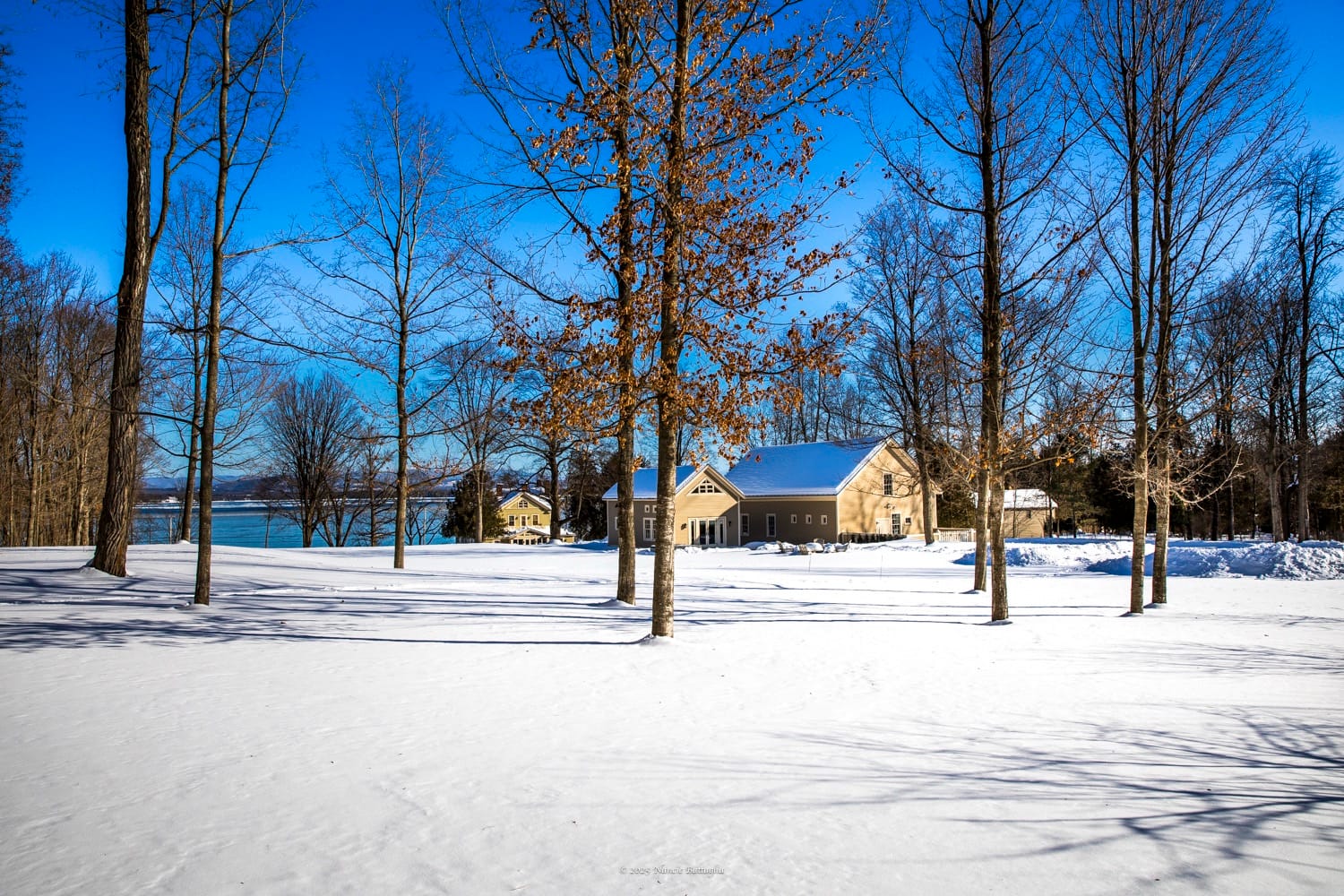 Backland & Buckthorn: Orchard and Barns, Februrary 19, 2025. (Photo: © Nancie Battaglia)