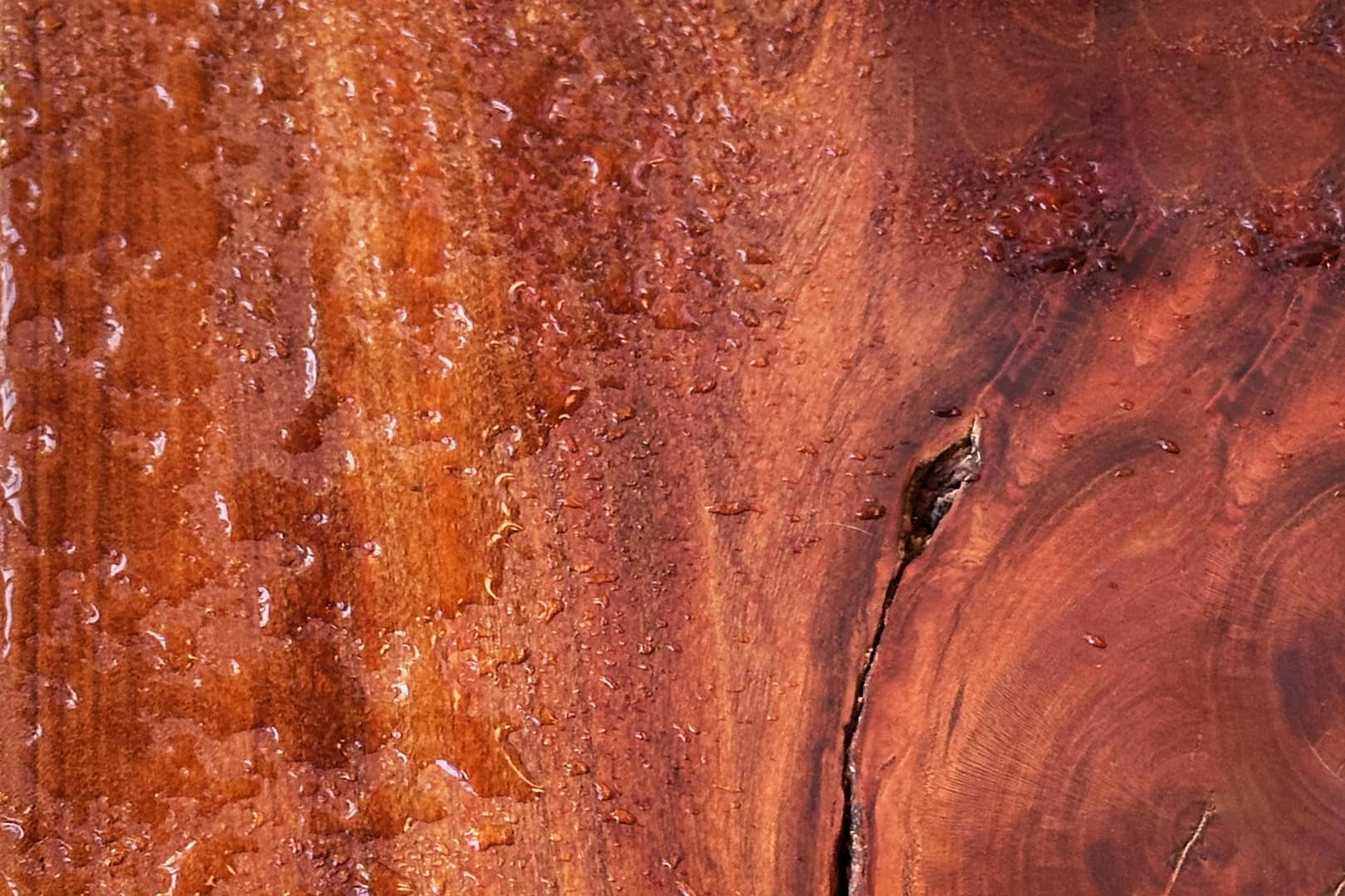 Oversplash: Drenched Cherry Bench Detail (Photo: Geo Davis)