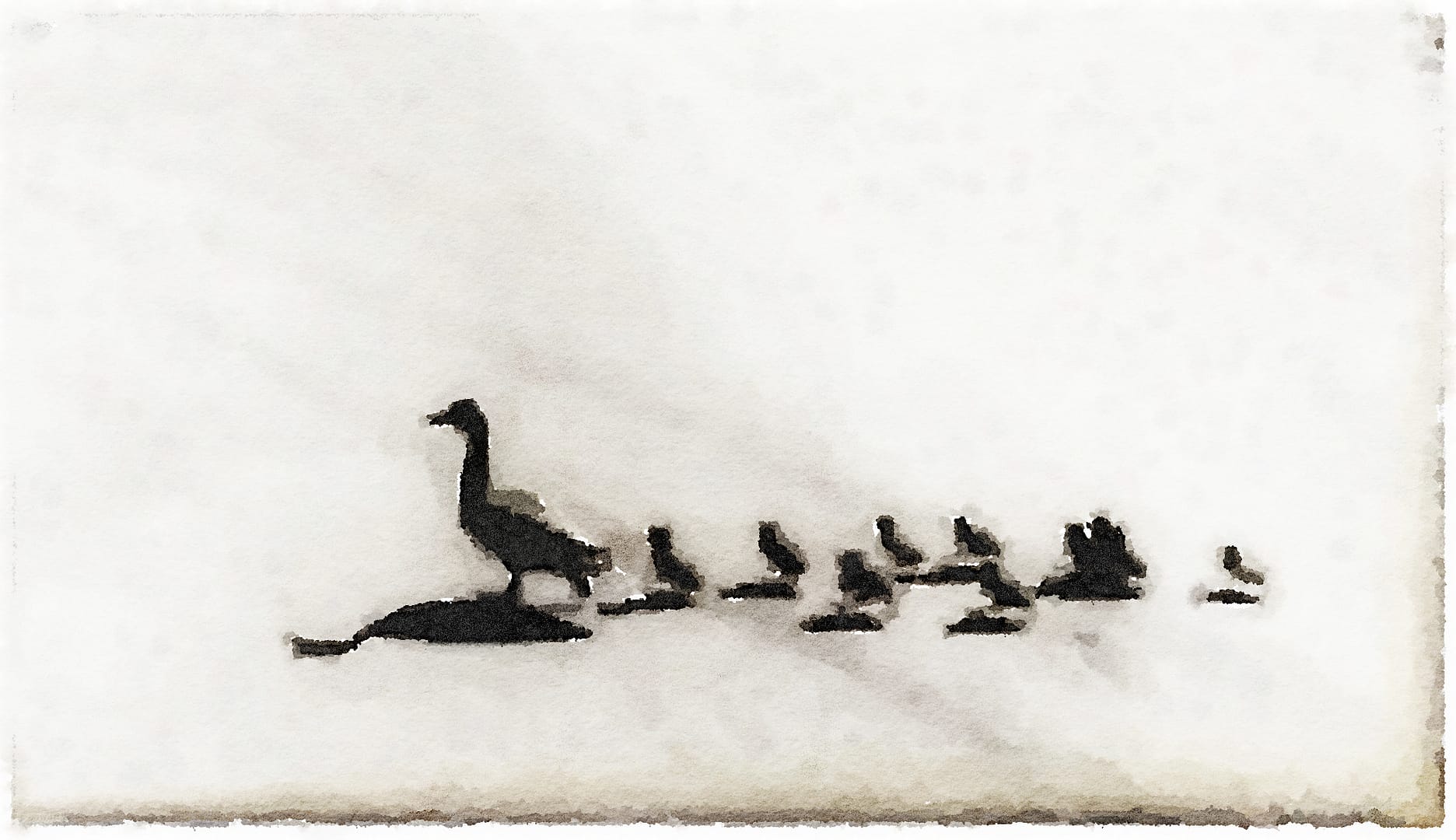 Make Way for Ducklings: mindful meditation on meandering mallards... (Source: Rosslyn Redux)