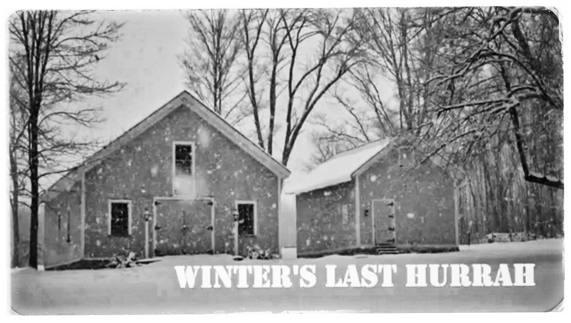 Winter's Last Hurrah: a video meditation on March snow (Source: Rosslyn Redux)