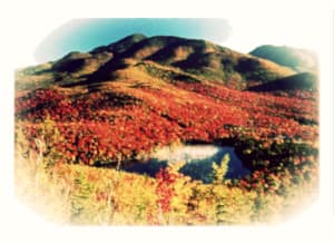 Adirondack Fall Foliage
