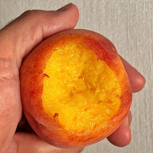 Peaches This Year, August 2022 (Source: Geo Davis) Peaches This Year, August 2022 (Source: Geo Davis)