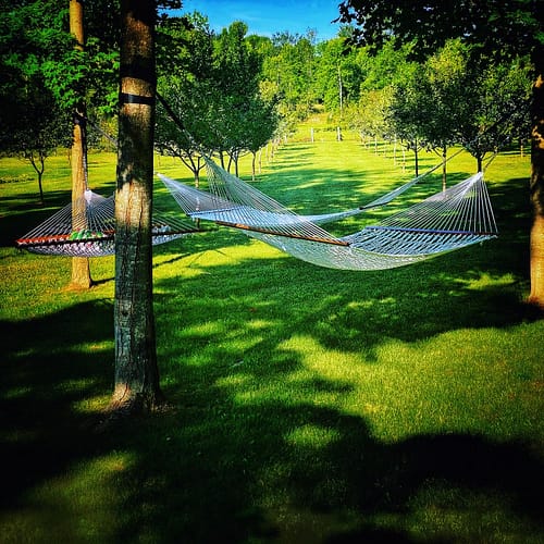 Hammock Huddle (Source: Geo Davis) Hammock Huddle (Source: Geo Davis)