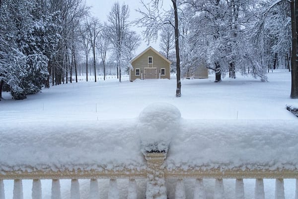 A Snowier December 11, 2014 (Photo: G. Davis)