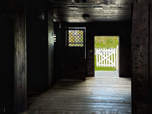 Filigree Fenestration: looking through the carriage barn (Photo: Geo Davis)