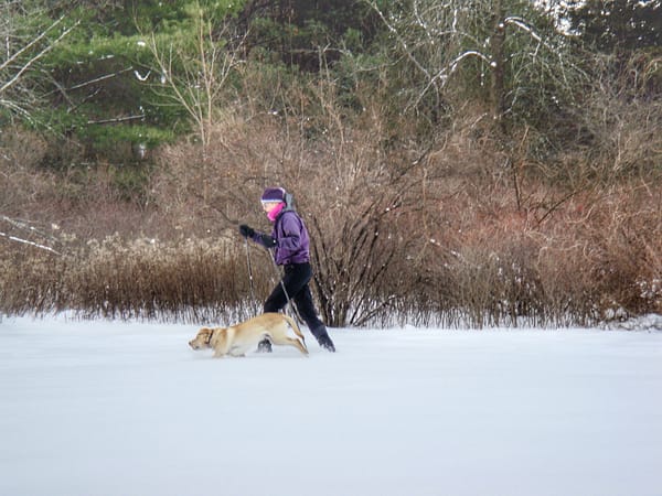 Susan Enjoying a X-Country Ski with Griffin on January 22, 2009 (Photo: Geo Davis)
