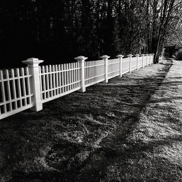 Fences & Neighbors (Geo Davis) Fences & Neighbors (Geo Davis)