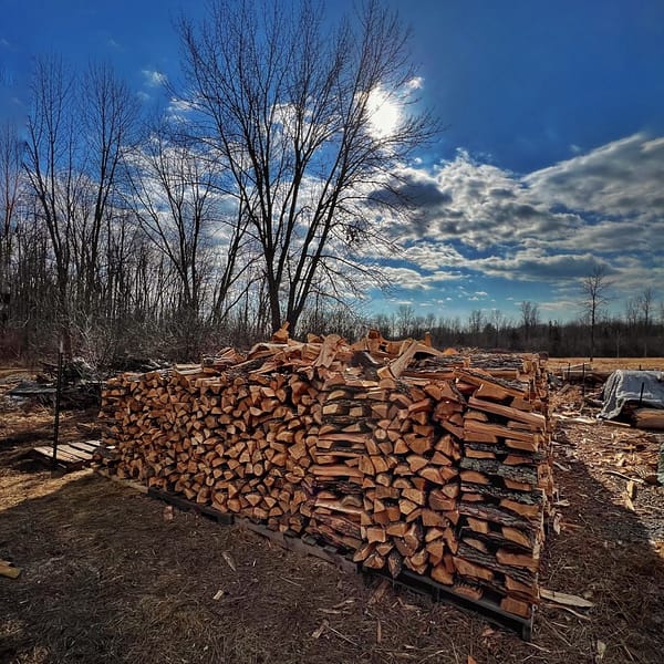 Poetics of Firewood​ (Photo: R.P. Murphy)