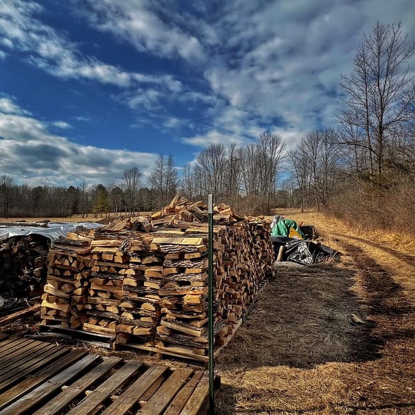 Poetics of Firewood​ (Photo: R.P. Murphy)