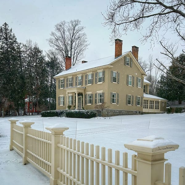 White Christmas 2024 (Photo: Glen Gerhkens)