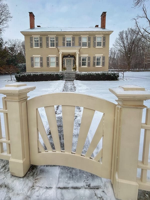 White Christmas 2024 (Photo: Glen Gerhkens)