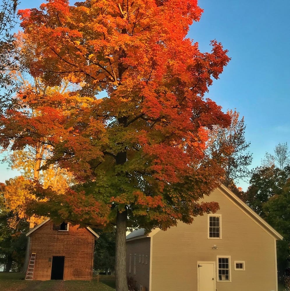 Barns with Fall Foliage 2022 (Credit: Hroth Ottosen)